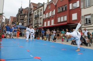 Image de l'actu 'Vêtements sportifs aux couleurs de votre Judo Club'