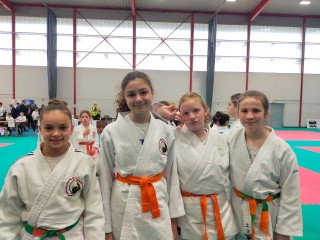Image de l'actu 'Fête annuelle du Judo Club de Saverne le 09-06-2025'