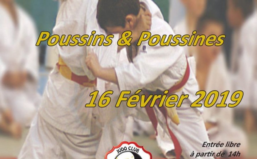 Poussins & Poussines : Tournois de la Licorne